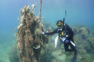 漁網のお化け「ゴーストギア」が問題に、長崎・五島で3mにも