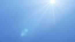 「過酷な暑さの中で働く労働者を守れ」WHOが暑熱対策を促す