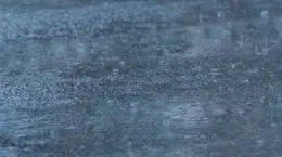 気候変動リスクを財務諸表にどう反映させるべきか
