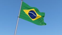 ブラジルが画期的なタクソノミーを制度化、社会視点も軸に