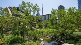 都市の緑地化、生態系価値を高めてマネタイズするには