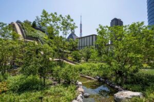 都市の緑地化、生態系価値を高めてマネタイズするには