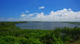 COP30で「適応指標」、日本のサステナ戦略も大きく変わる