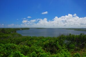 COP30で「適応指標」、日本のサステナ戦略も大きく変わる