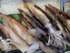 スルメイカの漁獲枠拡大に根拠なし: 目先の利益より水産資源の回復を