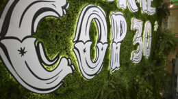 COP30は「森林COP」: ネイチャーポジティブ経済の時代の幕開けに