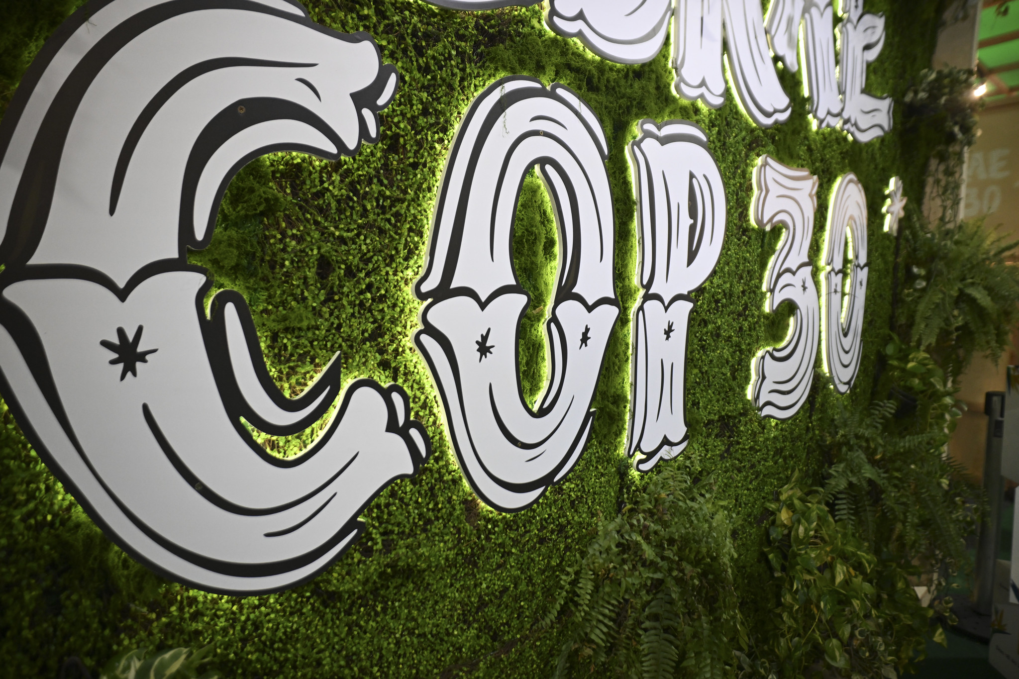 COP30は「森林COP」: ネイチャーポジティブ経済の時代の幕開けに