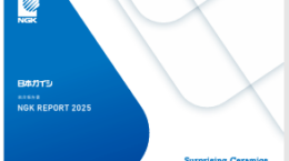 オルタナ総研統合報告書レビュー（46）：日本ガイシ