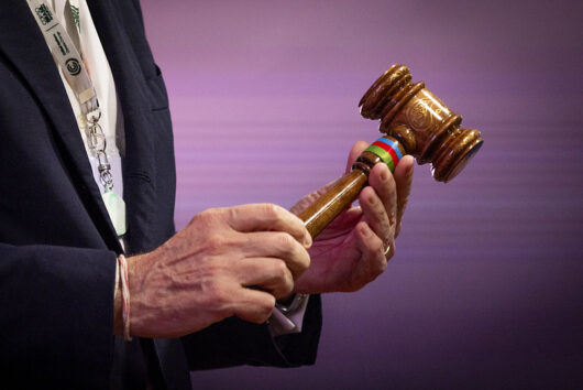 COP30では29の決定で合意した (C)Ueslei Marcelino/COP30