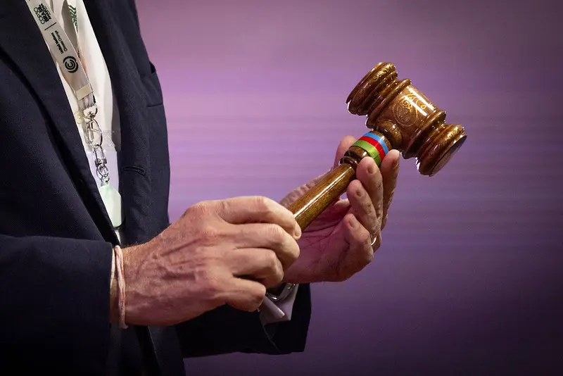 COP30では29の決定で合意した (C)Ueslei Marcelino/COP30