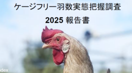 国内ケージフリー鶏1.48％、OECD最低水準にとどまる