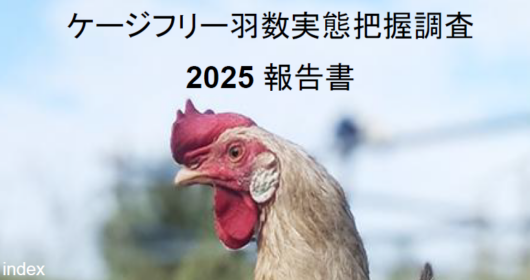 国内ケージフリー鶏1.48％、OECD最低水準にとどまる
