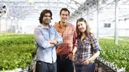 ビル屋上での野菜栽培、ニューヨークで「適応型農業」広がる