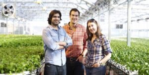 ビル屋上での野菜栽培、ニューヨークで「適応型農業」広がる