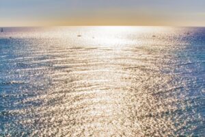 国連公海等生物多様性協定の発効で、海のガバナンスが変わる