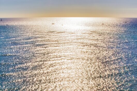 国連公海等生物多様性協定の発効で、海のガバナンスが変わる