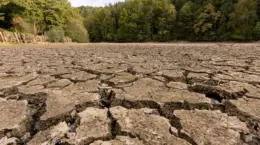 淡水保全を中心とした「水リスク対応」を事業成長の機会に