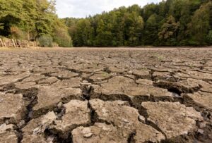 淡水保全を中心とした「水リスク対応」を事業成長の機会に
