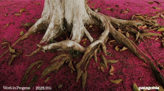 米パタゴニア社初のインパクトレポートが投げかける「問い」