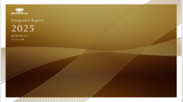 オルタナ総研統合報告書レビュー（47）：日本ペイントホールディングス