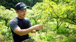 ぶどう山椒産地が消滅の危機、若手農家がブランド化に挑む