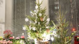 日比谷花壇のクリスマスツリー: 再エネ100％電力で灯る