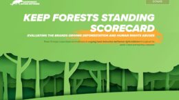 「森林＆人権格付」ユニリーバ首位、花王・日清は評価上げる