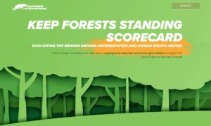 「森林＆人権格付」ユニリーバ首位、花王・日清は評価上げる