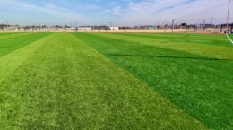 環境135団体、人工芝禁止求める: 「海洋プラごみの発生源」