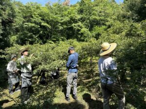 有田川町が消滅可能性都市から脱却、地域課題をコンテンツに