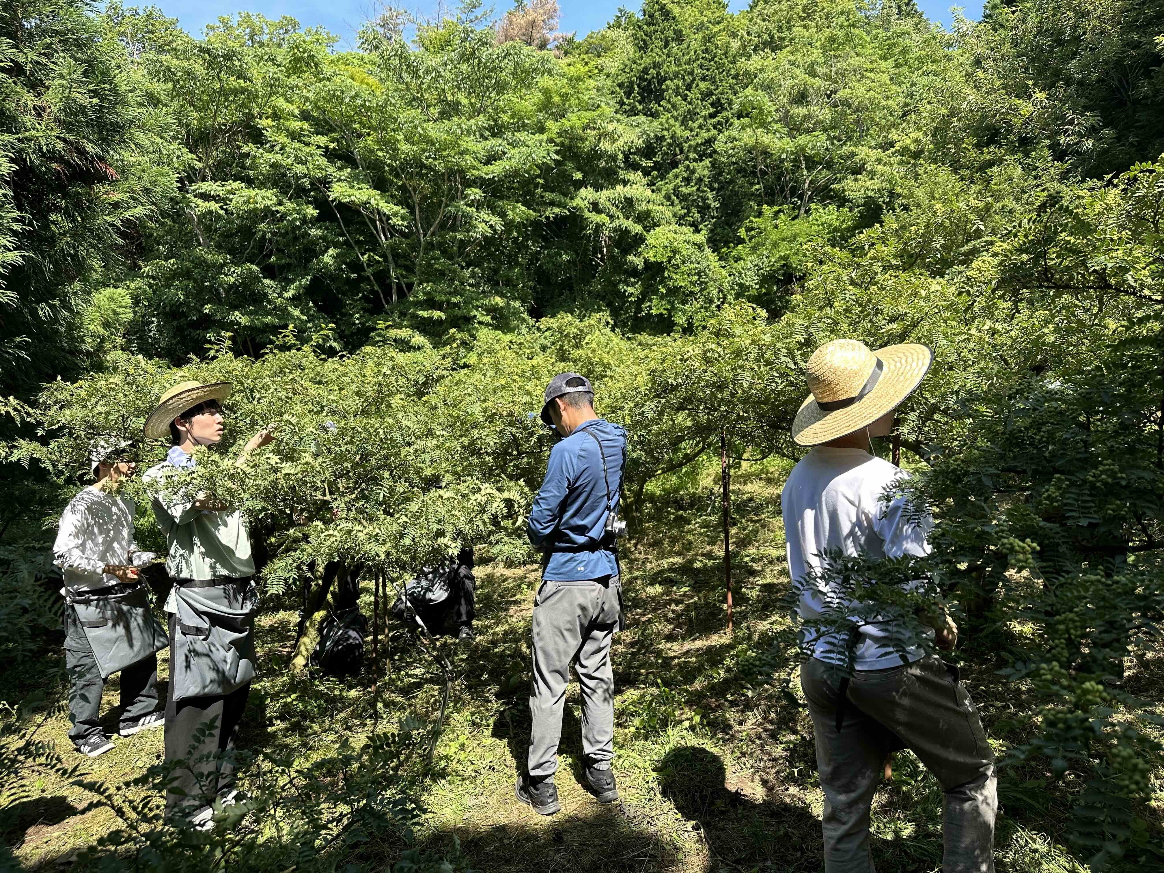 有田川町が消滅可能性都市から脱却、地域課題をコンテンツに