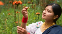 「企業が自然破壊をすれば経済も破壊へ」と生物多様性報告書