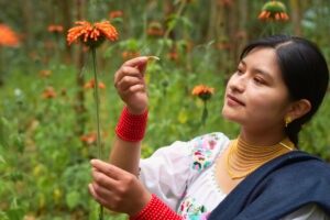 「企業が自然破壊をすれば経済も破壊へ」と生物多様性報告書