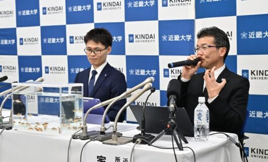 記者会見する家戸敬太郎・近畿大学水産研究所 所長（右）と中村尚隆・富山実験場 技術職員（2026年2月5日撮影）