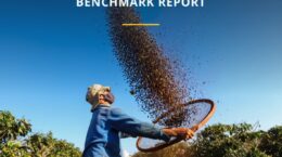 ブラジル産コーヒー豆に強制労働リスク、人権団体が懸念示す