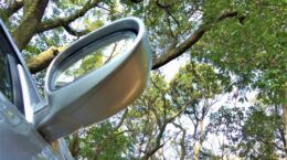 マツダのニュージーランド現地法人にグリーンウォッシュ批判