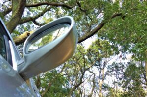 マツダのニュージーランド現地法人にグリーンウォッシュ批判