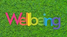 うわべだけ「ホワイト」はウェルビーイングウォッシュの懸念