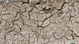 今夏のエルニーニョ発生予測、米機関は「スーパー級」を示唆