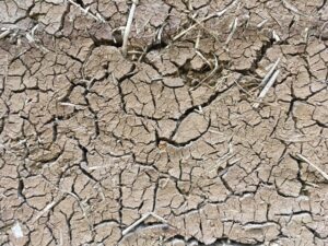 今夏のエルニーニョ発生予測、米機関は「スーパー級」を示唆