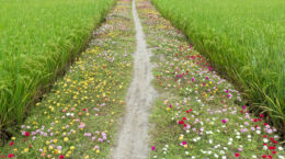 「ビジネスと生物多様性評価報告書」が示した構造転換とは