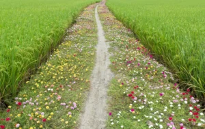 「ビジネスと生物多様性評価報告書」が示した構造転換とは