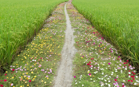 「ビジネスと生物多様性評価報告書」が示した構造転換とは