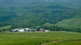 環境省の「自然共生サイト」、ワタミの牧場など新たに108カ所