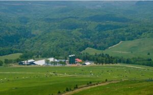 環境省の「自然共生サイト」、ワタミの牧場など新たに108カ所