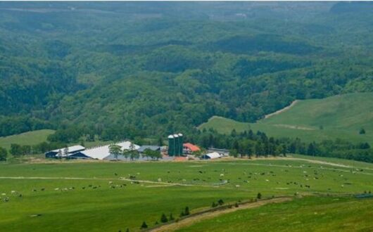 ワタミの美幌峠牧場。牧場周辺は希少な生物の生活拠点となっている