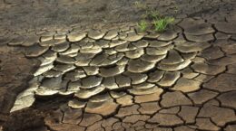 気候変動で「外出減る」 5割超、電通調査で