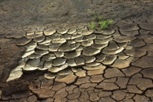 気候変動で「外出減る」 5割超、電通調査で