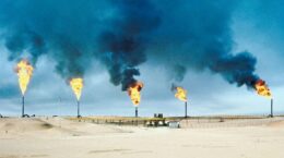 カーボンクレジットによるGウォッシュ訴訟、世界で急増へ