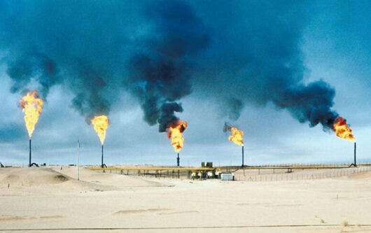 カーボンクレジットによるGウォッシュ訴訟、世界で急増へ